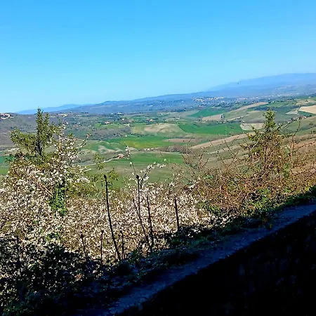 Athena-montepulciano House Apartment